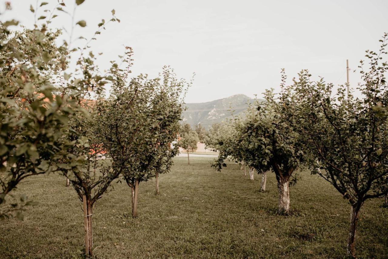 Vikendica Castanea Banja Zdrelo Villa Petrovac na Mlavi Exterior foto